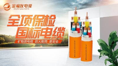 你了解全项保检吗？