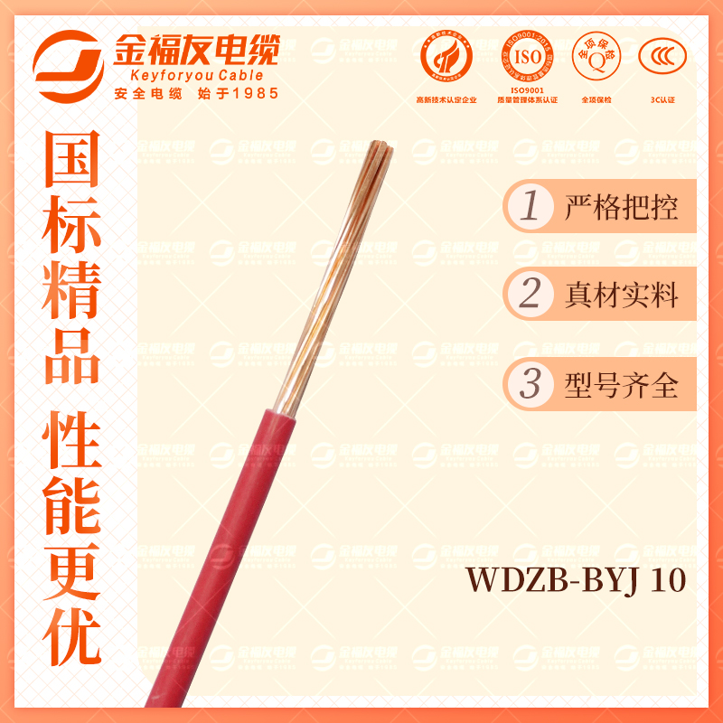 金福友产品-10.9-WDZB-BYJ-10