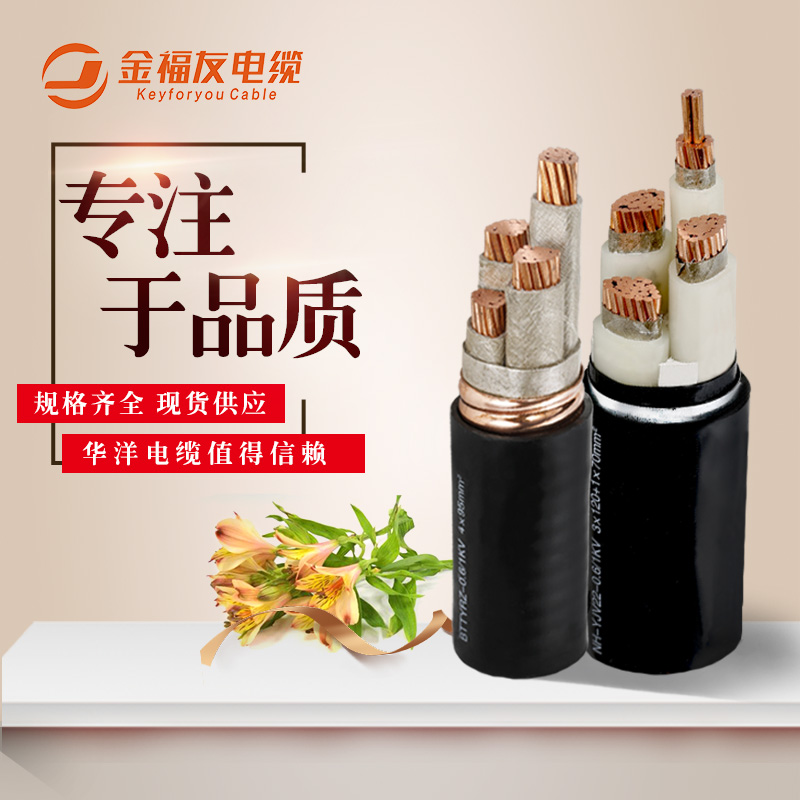 金福友电缆